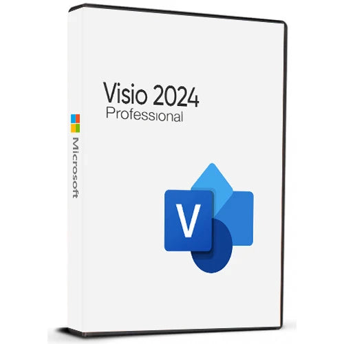 Microsoft Visio Professional 2024 Licenza a Vita