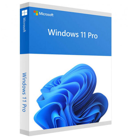 windows 11 pro